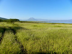 Tanzanian Landscape