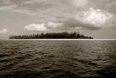 The East African Coast