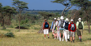 Walking Safaris